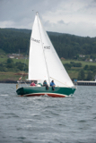 oystercatcher 3245c whyw16 fri 800 5312w